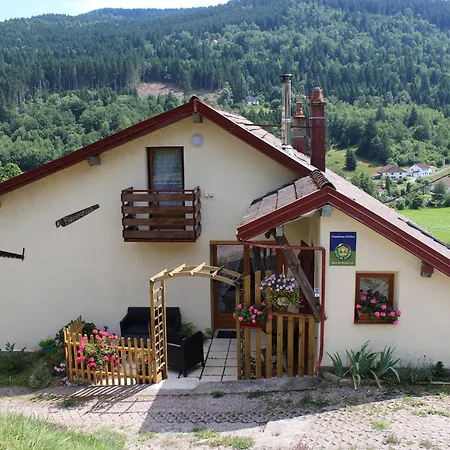Familiale 4 Pers, 2eme Etage, Repas Traditionnels, Terrasse, Parking Hiver - Fr-1-589-565 B&B