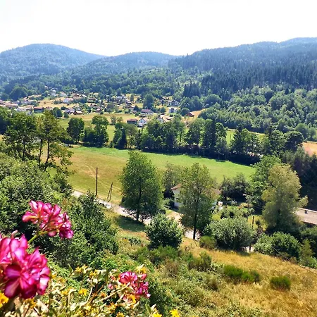 Familiale 4 Pers, 2eme Etage, Repas Traditionnels, Terrasse, Parking Hiver - Fr-1-589-565 *